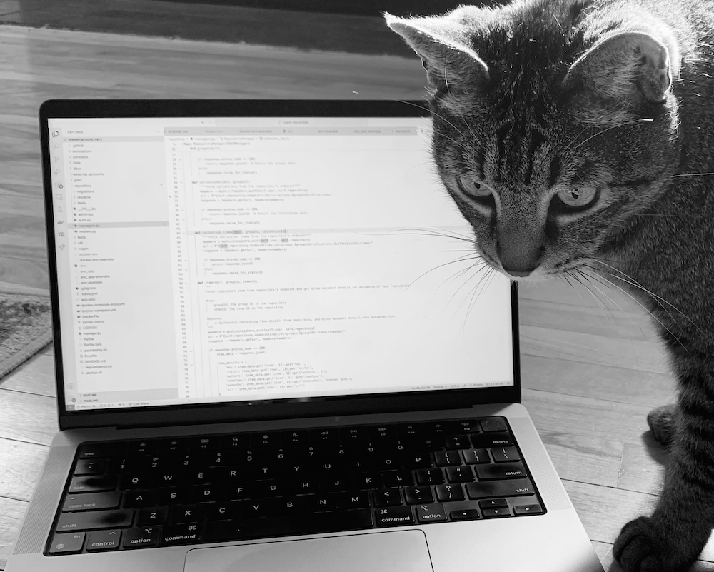 Recently published: 'Code Review in Digital Humanities'